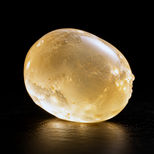 Translucent golden Chios mastic resin tear illuminated against a black studio background, showing internal detail and glossy surface.