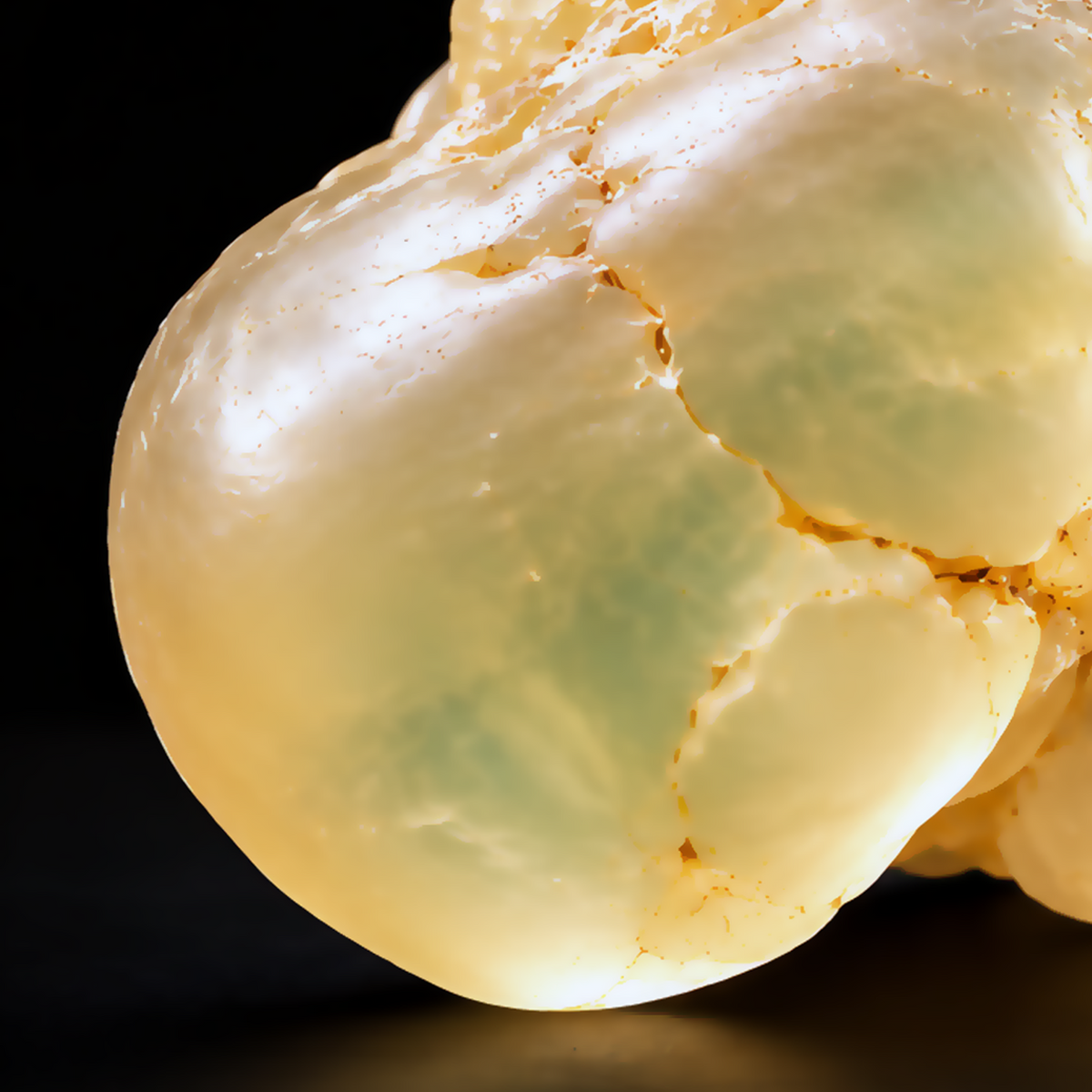 Extreme macro detail of translucent Royal Hojari frankincense resin tears against black.