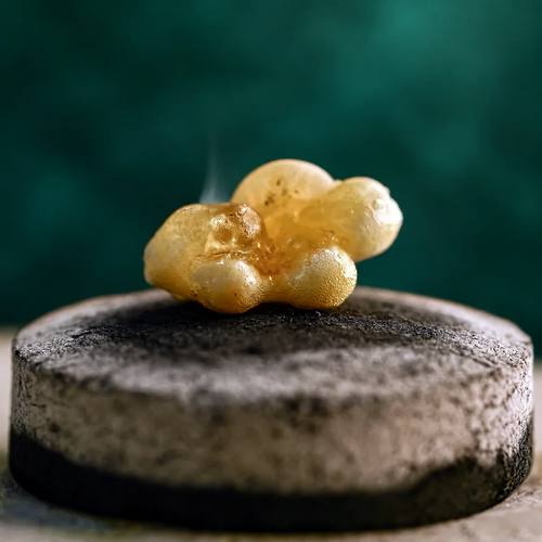Golden frankincense resin tears warming on a charcoal incense heater.