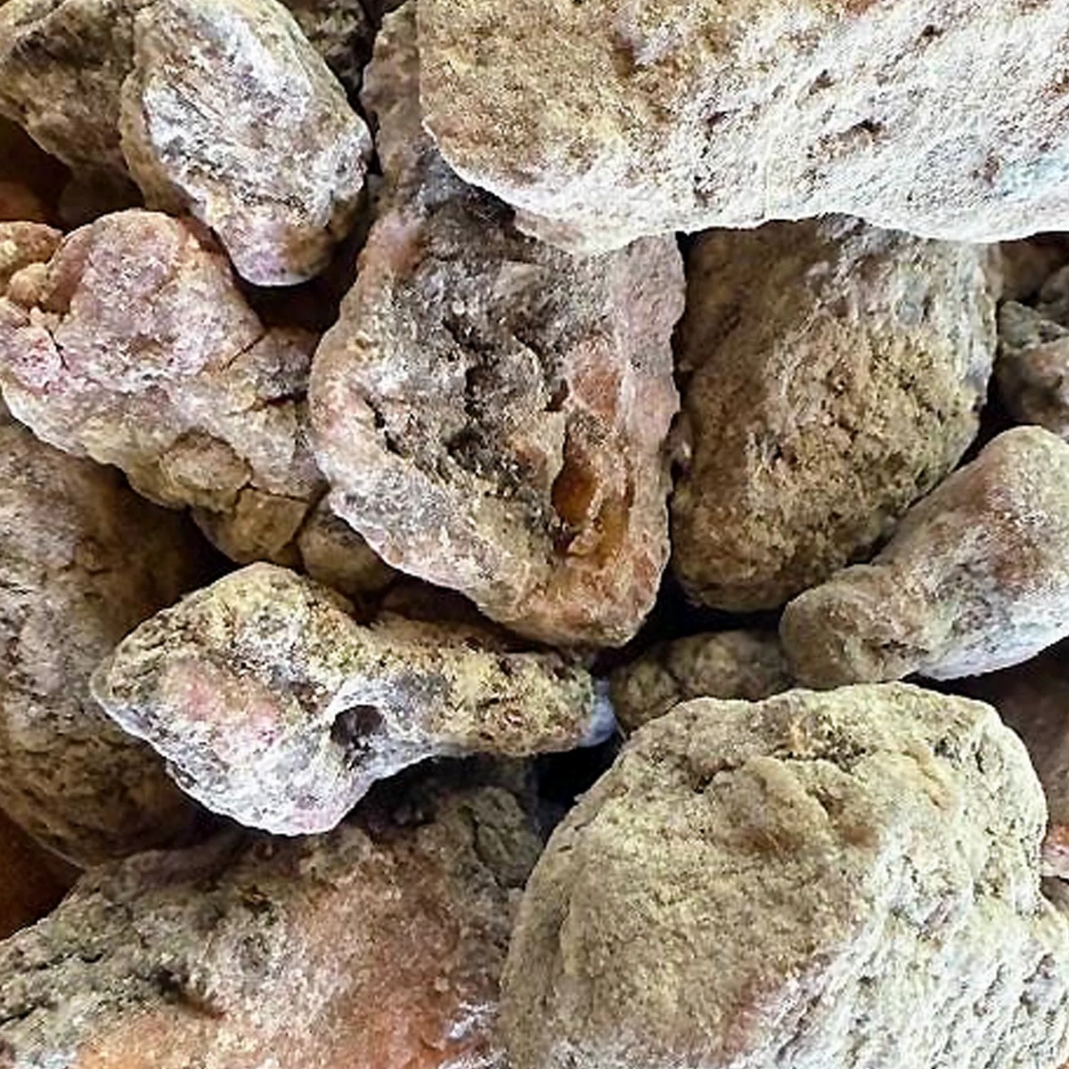 Estonian spruce resin — close-up of natural pale resin pieces