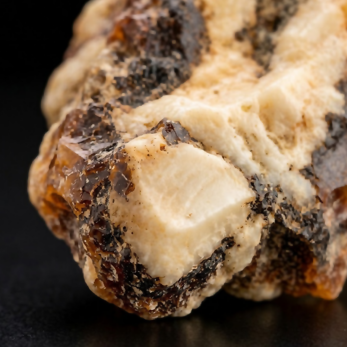 Extreme macro view of Mexican Black Copal Resin showing creamy, amber and dark natural layers