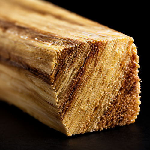 Ultra-macro of the dry cut end of a square hand-cut Peruvian Palo Santo wood stick, showing golden-brown grain against a black background