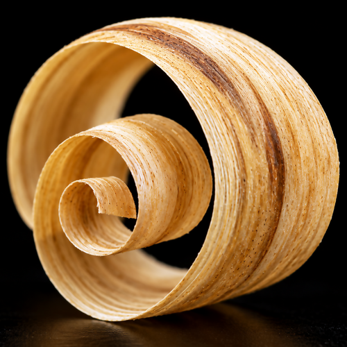 Extreme macro photograph of a single curled Palo Santo wood shaving showing fine pale timber grain and a dark brown streak against a black background.