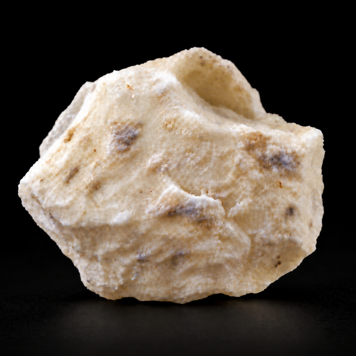 Single ivory white copal resin specimen with natural irregular ridges and beige inclusions photographed on a black surface