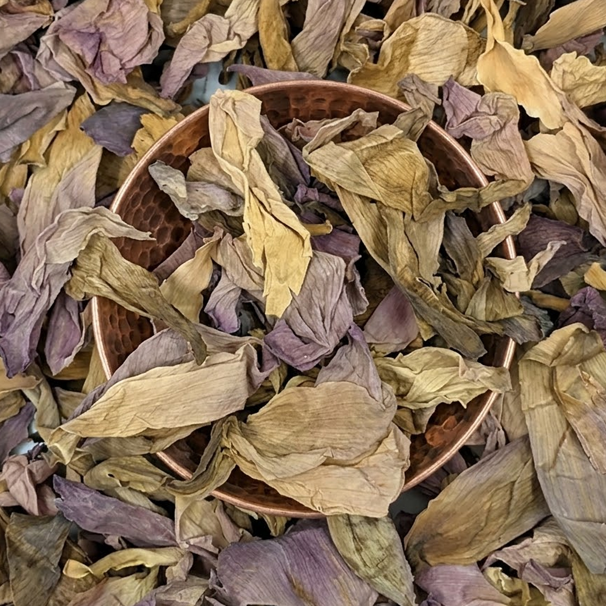 Sacred Plants Australia | Nelumbo nucifera sacred lotus tea dried flower petals in a copper bowl with natural purple and golden tones
