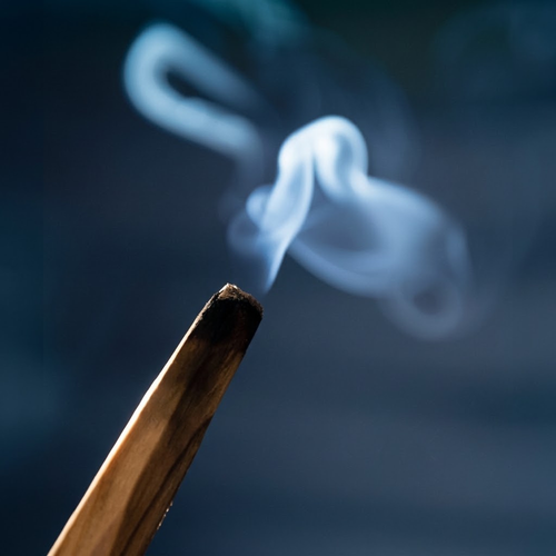Close-up of a smouldering Peruvian Palo Santo stick with aromatic smoke