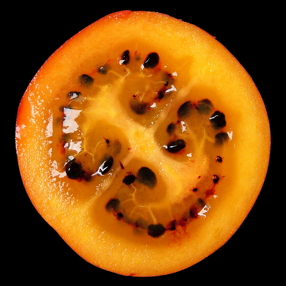 Red Tamarillo, Solanum betaceum, macro view of ripe fruit flesh and dark seeds