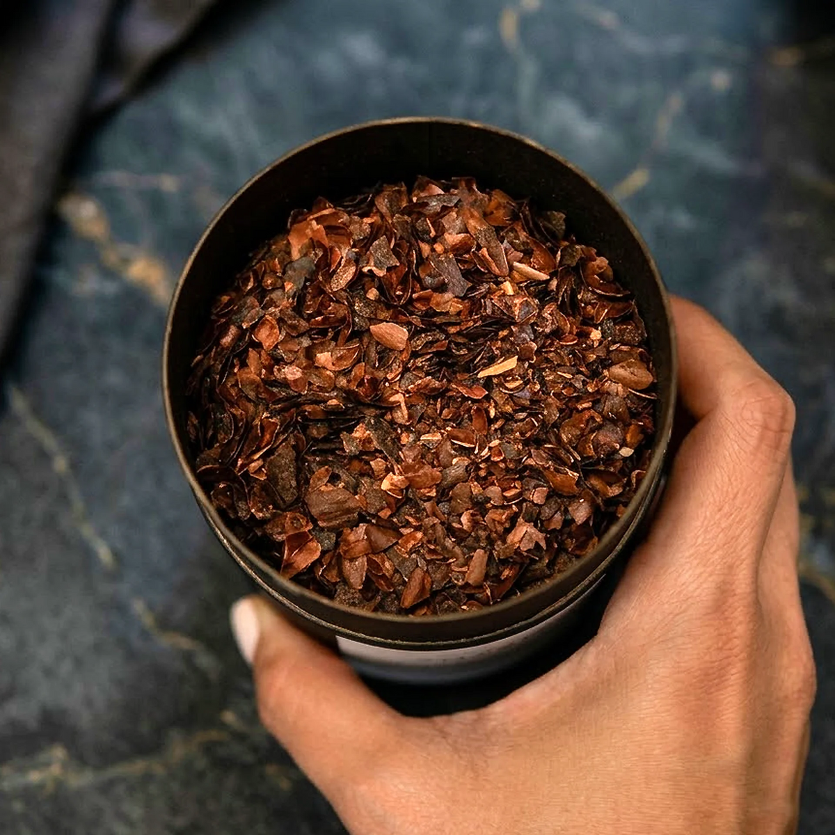 Bolivian Cacao Husk Tea | Theobroma cacao — dried cacao husks in black tin held by hand