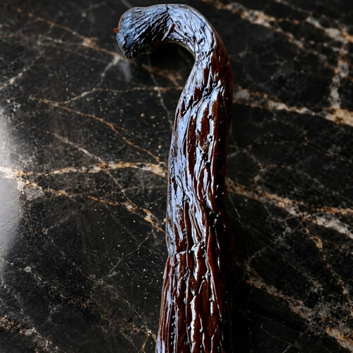 Sacred Plants Australia Madagascar Bourbon Vanilla Beans (Vanilla planifolia), single dark glossy cured vanilla bean with curled tip on black marble