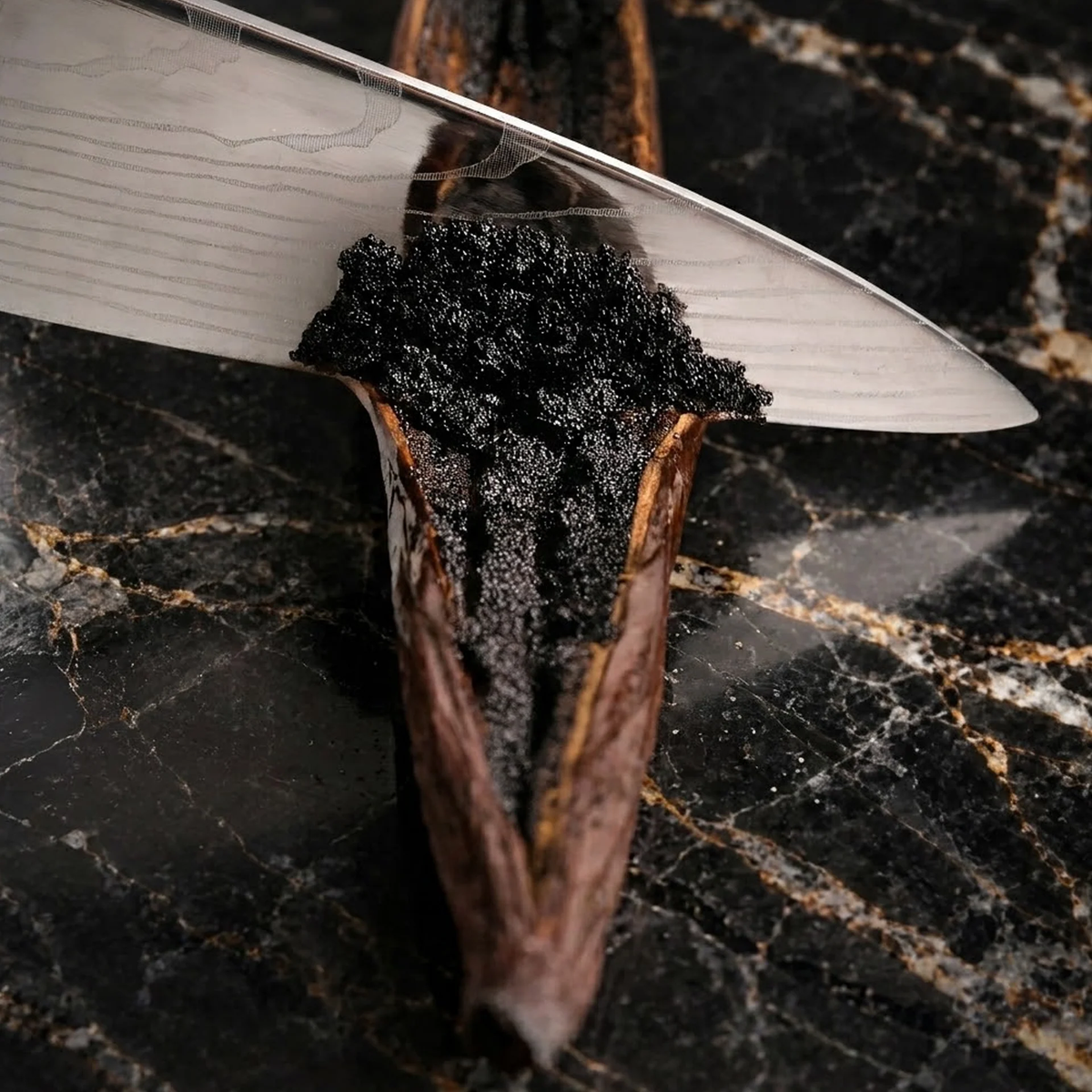 Sacred Plants Australia Madagascar Bourbon Vanilla Beans (Vanilla planifolia), knife lifting dense glossy black vanilla caviar from a split cured bean