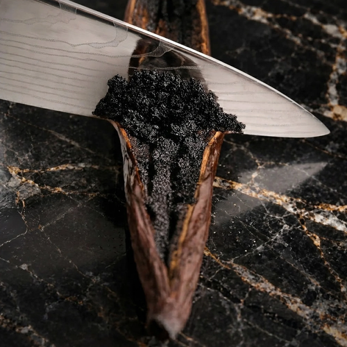 Sacred Plants Australia Madagascar Bourbon Vanilla Beans (Vanilla planifolia), knife lifting dense glossy black vanilla caviar from a split cured bean