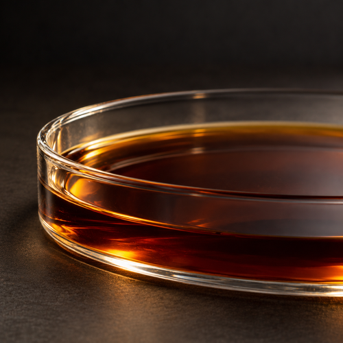 Madagascar Bourbon Vanilla Extract, extreme macro of amber vanilla extract in round glass Petri dish on matte dark surface.