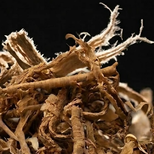 Sananga dried fibrous root and bark extreme macro on black background