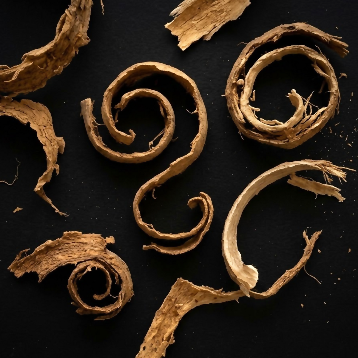Overhead macro photograph of curled tan-brown dried bark strips and spiral-shaped fibres arranged on a matte black background.