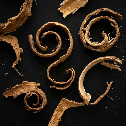 Overhead macro photograph of curled tan-brown dried bark strips and spiral-shaped fibres arranged on a matte black background.