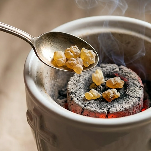 Spoon of Somali olibanum frankincense resin above warm charcoal in an incense burner.